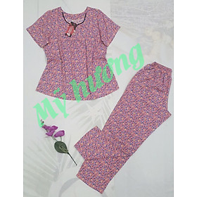 Bộ tole 2 da loại 1 cổ tim 50-80kg