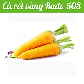 Hạt giống cà rốt vàng Rado 508 gói 5gr - Xuất xứ Italy