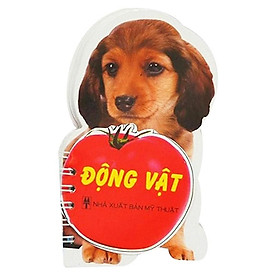 Học Từ Theo Chủ Đề - Động Vật
