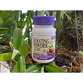  ROOTING POWDER SIÊU KÍCH RỄ (GIÂM CÀNH, CHIẾT CÀNH, CHỐNG KHUẨN) - 35g