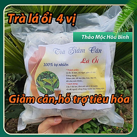 Mua Gói 30 túi trà lọc 4 vị lá ổi lá sen cỏ ngọt giảo cổ lam hỗ trợ tiêu hóa giảm cân-Uống cả tháng