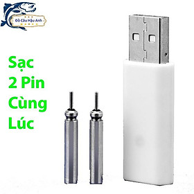 BỘ SẠC PIN PHAO ĐIỆN CÂU ĐÊM PHAO CÂU CÁ NGÀY ĐÊM PC2