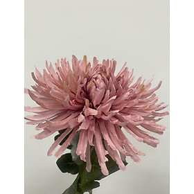 Mua Hoa Cúc Kim Dài 75cm  Hoa Giả HL037