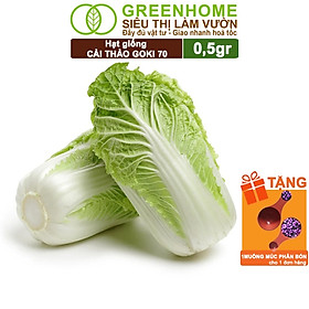 Mua Hạt Giống Cải Thảo Goki Greenhome  Bao 0 5gr  Dễ Trồng  Nảy Mầm Cao  Năng Suất Cao T22