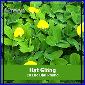 Hạt Giống Cỏ Lạc Đậu Phộng