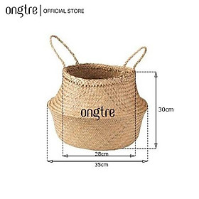 Giỏ cói trồng cây ONGTRE /đựng quần áo/decor tự nhiên có quai/giỏ cói đựng đồ nhiều kích thước