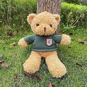 Gấu bông Teddy bear áo len dễ thương