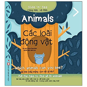 Sách Animals - Các Loài Động Vật