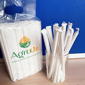 Mua Phi 10 - Túi 100 ống hút giấy làm từ sợi mía có bao gói