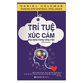 [Download Sách] Trí Tuệ Xúc Cảm Ứng Dụng Trong Công Việc (Tái Bản 2019)