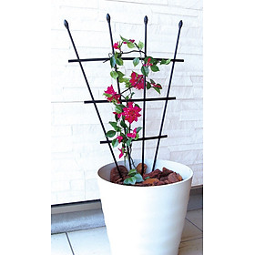 Khung hoa leo hình quạt cao 120cm