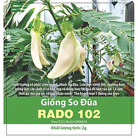 Hạt Giống So Đũa F1 Rạng Đông 2 Gram