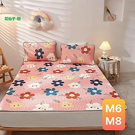 Mua Chiếu điều hòa cao su non  Chiếu cao su non 2D hàng đẹp