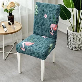 Bọc ghế ăn, mềm mịn chuẩn form, dùng cho ghế đơn bàn ăn