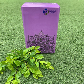 Gạch Tập Yoga,Gối Yoga Họa Tiết Chính Hãng Cao Cấp (Chọn Màu)