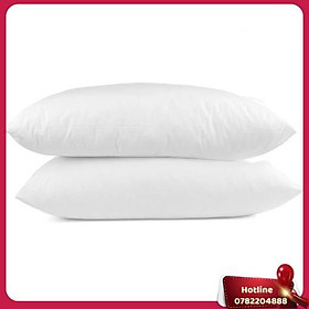 Mua Ruột Gối Nằm Ép Hơi 40X60 (2 Cái) - Miễn Phí Vận Chuyển