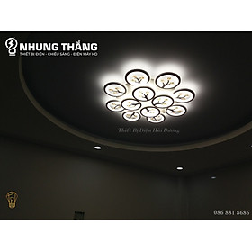 Đèn Ốp Trần Hiện Đại Decor 12 Hoa Pha Lê NT031 - 3 Chế Độ Ánh Sáng - Tăng Giảm Ánh Sáng - Hẹn Giờ Ngủ - Điều Khiển Từ Xa - Có Video