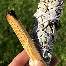 Mua Xô Thơm Bách Xù (Juniper Smudge) Thu Hút Vượng Khí l XÔ THƠM THANH TẨY