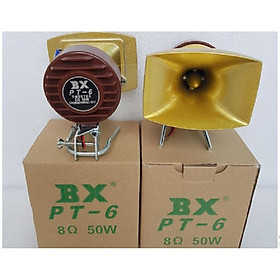 Mua Bộ 2 loa treble cao cấp BX PT6 họng đúc  thiết kế chắc chắn phù hợp với mọi không gian  màu vàng đồng làm tăng sự sang trong cho dàn âm thanh của bạn.