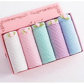 Combo 5 quần lót nữ Cotton QL 8108-1