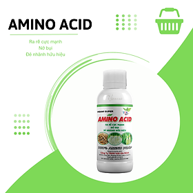 Phân bón VIGAMI ZINSUPER – amino acid 500ML 