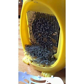 Mua Đèn siêu bắt muỗi kinh điển