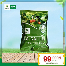 Cà gai leo sadu bảo vệ gan, tăng cường chức năng gan 250g