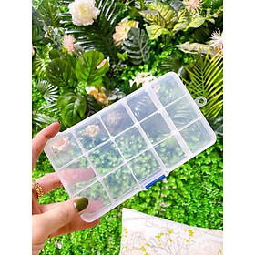 Mua Hộp đựng 8 ô/10 ô/15 ô/24 ô
