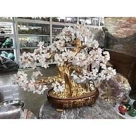 Cây Tài Lộc bonsai phong thủy đá thạch anh trắng - Cao 40 cm