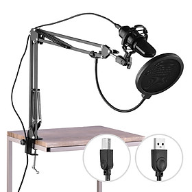USB Professional PC Microphone Set Cardioid 192KHz/24Bit Noise-Cancelling Condenser Mic Compatible with Windows
