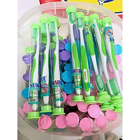 Mua Combo 10 bàn chải suwadee mềm mại - bàn chải đựng trong ống nhựa tiện dụng  vệ sinh