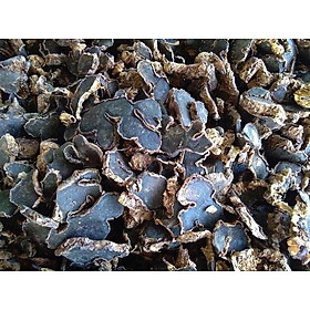 Cây gừng đen - Củ gừng đen - Khô 500gr