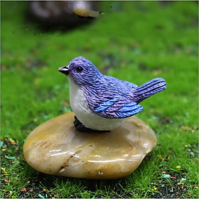 Mua KHO-HN * Mô hình chim sẻ và tổ chim cho các bạn trang trí tiểu cảnh  terrarium  DIY