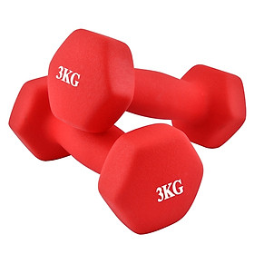 Bộ 2 tạ tay cao cấp tập Gym BG 3kg (hàng nhập khẩu)