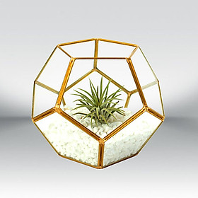 Geometric Glass Terrarium Ornaments Flower Room for Home Tabletop Decor Gift