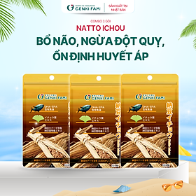 Combo 3 Gói Viên Uống Natto Ichou, Phòng Ngừa Đột Quỵ, Bổ Não, Nattokinase 3000 FU Genki Fami Nhật Bản Túi 30 Viên