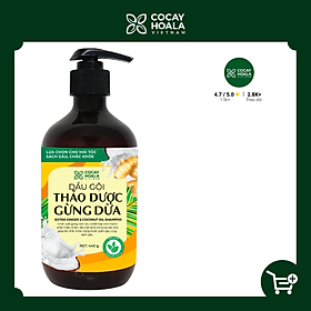 Dầu gội thảo dược gừng dừa Cocayhoala hỗ trợ trị gàu, hết ngứa, dung tích 440g-95% thành phần từ gừng tươi hữu cơ còn nguyên xơ gừng, hỗ trợ trị rụng tóc, kích thích mọc tóc vượt trội, an toàn cho mẹ bầu mẹ sau sinh