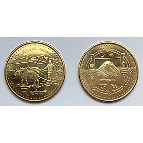 Mua Đồng Xu Nepal Hình Con Trâu + Kèm Túi Nhung Đỏ May Mắn  Có Hộp Mica Trong Bảo Quản Xu 