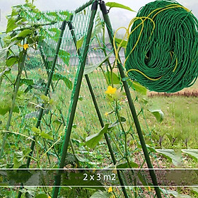 Lưới làm giàn dung cho cây trồng dây leo - diện tích 2x3m