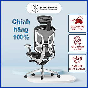 Ghế công thái học Nghia furniture DVARY BUTTERFLY , bản quốc tế bảo hành 5 năm - Ghế làm việc màu Black và White