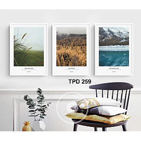 - Bộ tranh canvas 3 bức treo tường có khung phong cách hiện đại - phong cách Bắc Âu - Phòng Khách - Phòng ngủ