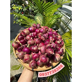 Mua Hành Tím sạch nhà trồng - Chính gốc Phan Rang_Ninh Thuận