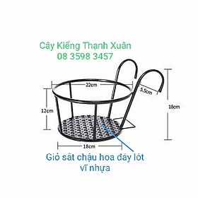 Giỏ treo chậu hoa - Giỏ  treo Chậu hoa ban công - Giỏ sắt treo chậu cây cứng cáp, độ bền cao, Đường kính miệng 22cm, đường kính đáy 18cmyn