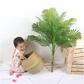 Cây dừa kiểng giả cao 1 mét