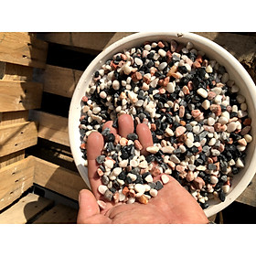 5 kilogam đá trang trí cây trồng - chậu nuôi cá SS3