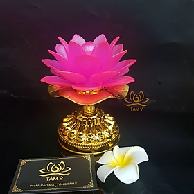 Mua Đèn Hoa Sen Cắm Điện Phát Nhạc Nghe Pháp Giảng Phật Giáo Đổi Nhiều Màu Bắt Mắt