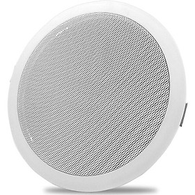 Loa Trần Newmine ND-5