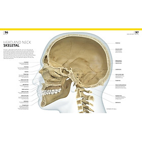 Hình ảnh sách The Complete Human Body