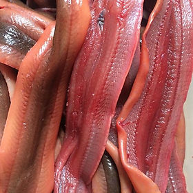 LƯƠN THỊT TƯƠI XỨ NGHỆ