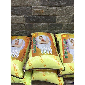 Mua (HCM) Gối nằm cao su thiên nhiên 40*60 êm ái
